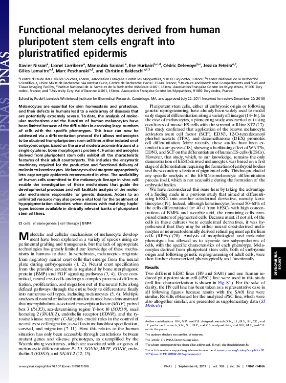 (PDF) Functional melanocytes derived from human pluripotent stem cells ...