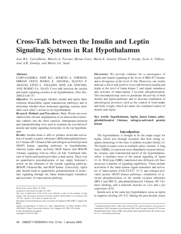 (PDF) Cross-Talk between the Insulin and Leptin Signaling Systems in ...