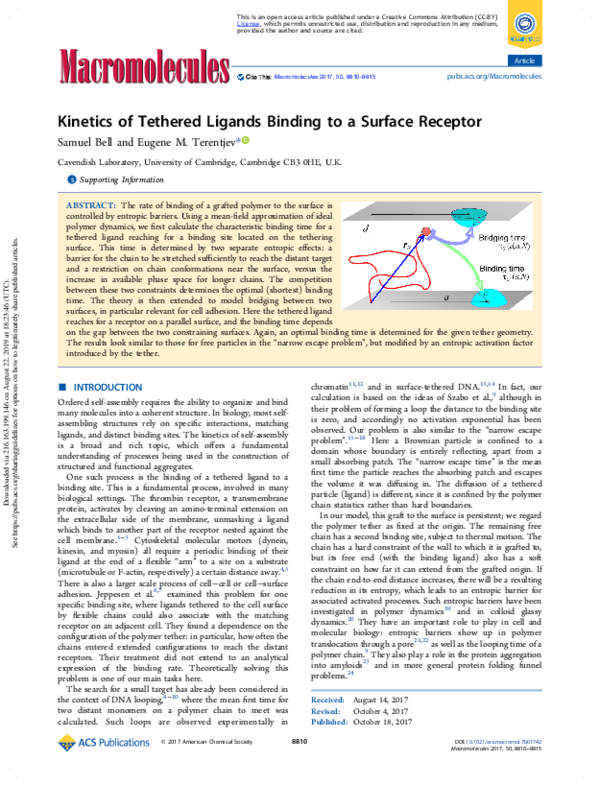 (PDF) Kinetics of Tethered Ligands Binding to a Surface Receptor ...