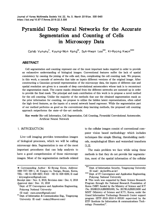 (PDF) Pyramidal Deep Neural Networks for the Accurate Segmentation and ...