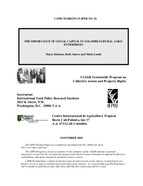 (PDF) The importance of social capital in Colombian rural agro-enterprises