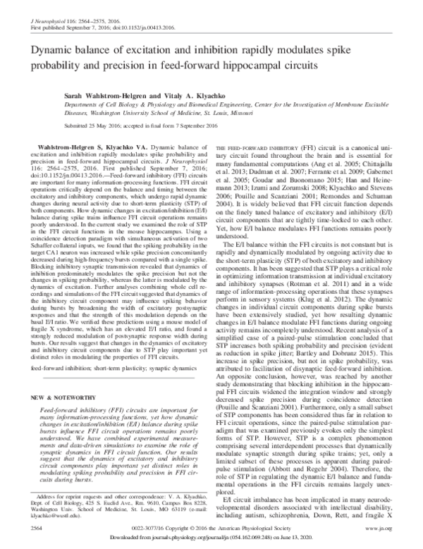 (PDF) Dynamic balance of excitation and inhibition rapidly modulates ...