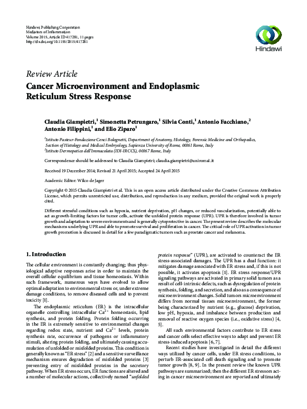 (PDF) Cancer Microenvironment and Endoplasmic Reticulum Stress Response