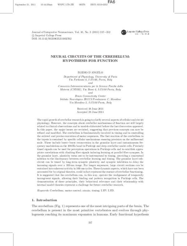 (PDF) Neural Circuits of the Cerebellum: Hypothesis for Function