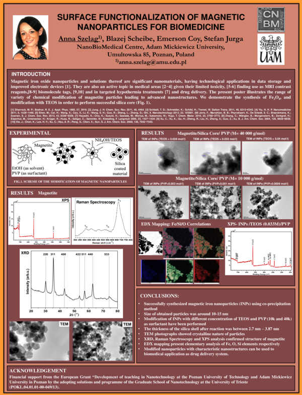 (PDF) Surface functionalization of magnetic nanoparticles for biomedicine