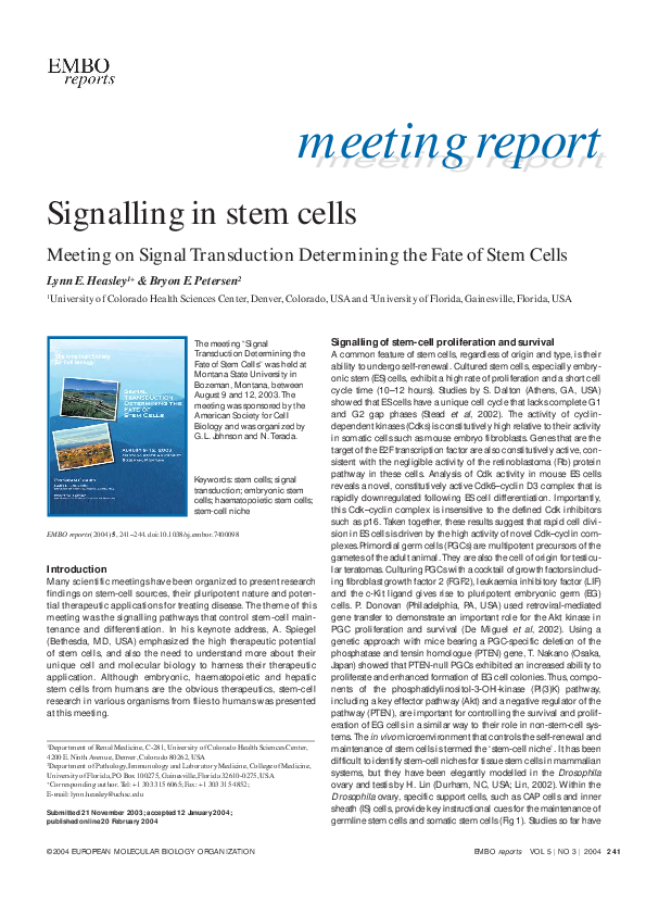 (PDF) Signalling in stem cells