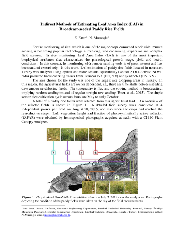 (PDF) Indirect methods of estimating Leaf Area Index (LAI) in broadcast ...