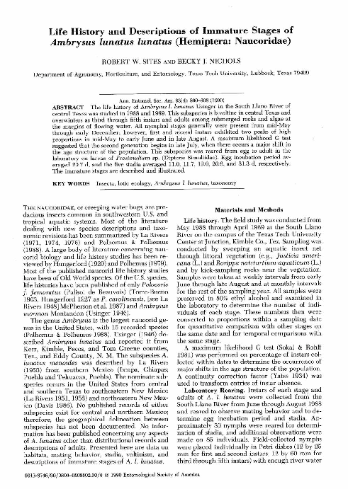 (PDF) Life history and descriptions of immature stages of Neaspilota