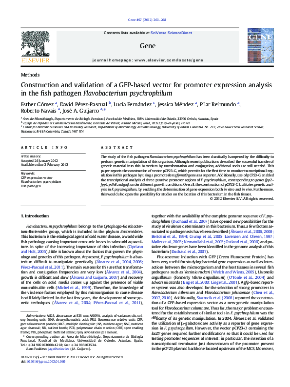 (PDF) Construction and validation of a GFP-based vector for promoter ...