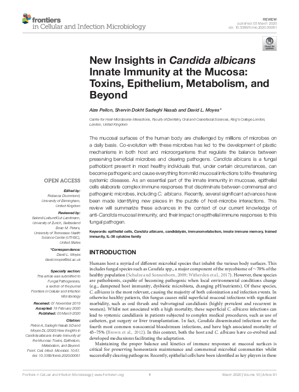 (PDF) New Insights in Candida albicans Innate Immunity at the Mucosa ...