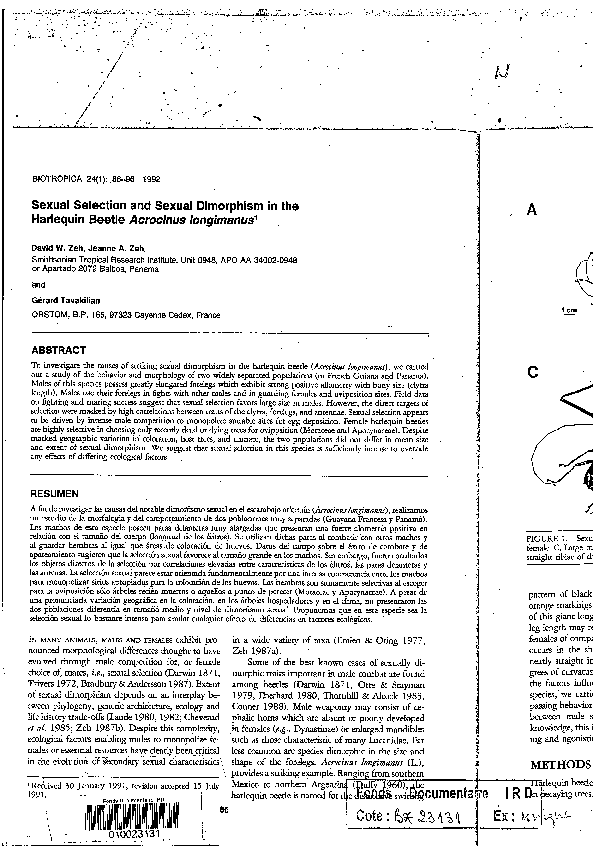 (PDF) Sexual Selection and Sexual Dimorphism in the Harlequin Beetle ...