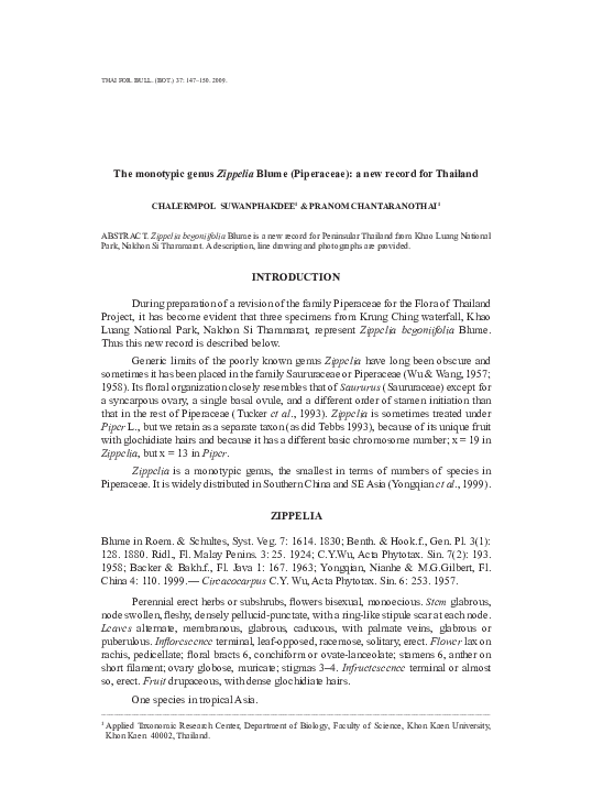 (PDF) The monotypic genus Zippelia Blume (Piperaceae): a new record for ...