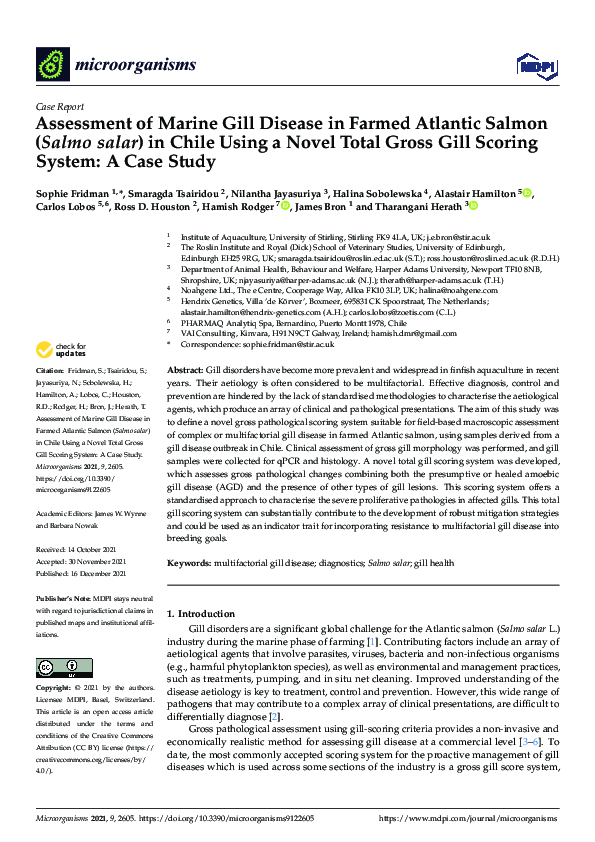 (PDF) Assessment of Marine Gill Disease in Farmed Atlantic Salmon ...