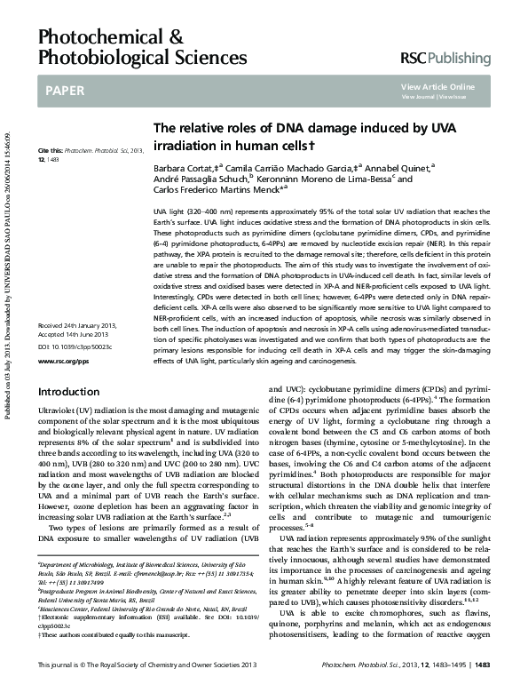 (PDF) The relative roles of DNA damage induced by UVA irradiation in ...