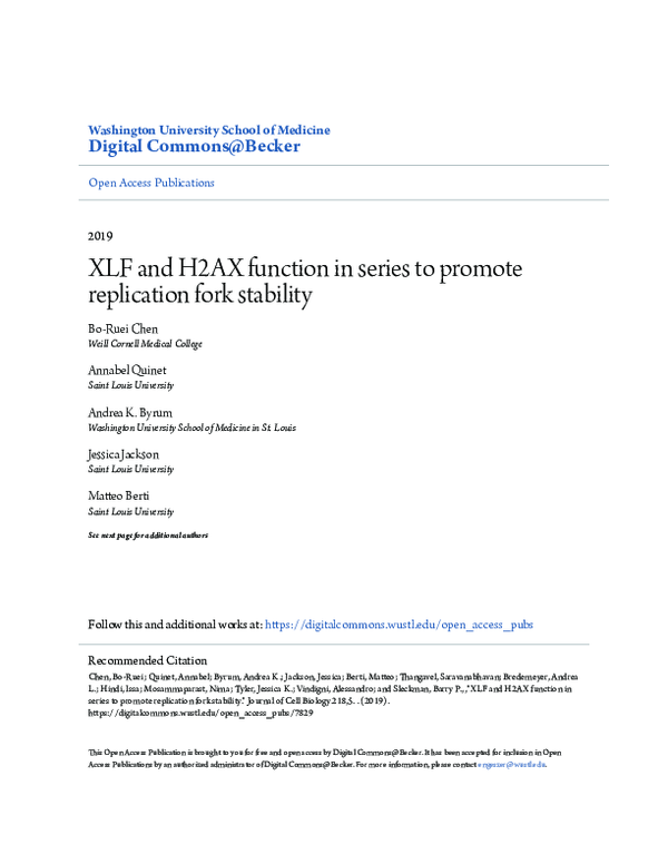 (PDF) XLF and H2AX function in series to promote replication fork ...