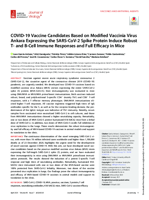 (PDF) COVID-19 Vaccine Candidates Based on Modified Vaccinia Virus ...