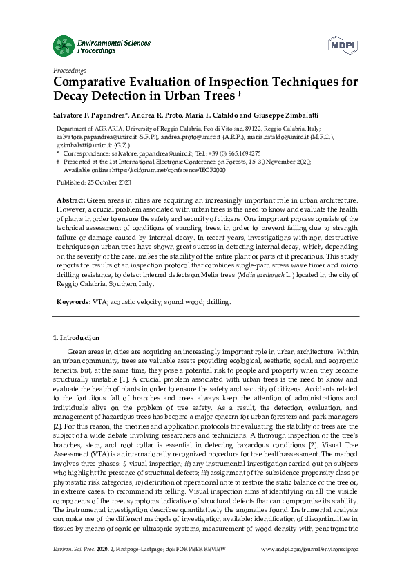 (PDF) Comparative evaluation of inspection techniques for decay ...
