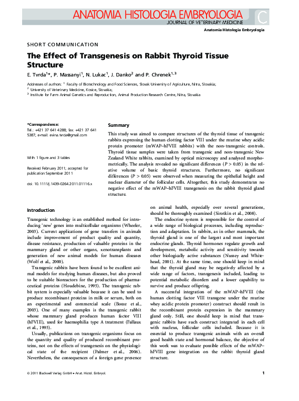 (PDF) The Effect of Transgenesis on Rabbit Thyroid Tissue Structure
