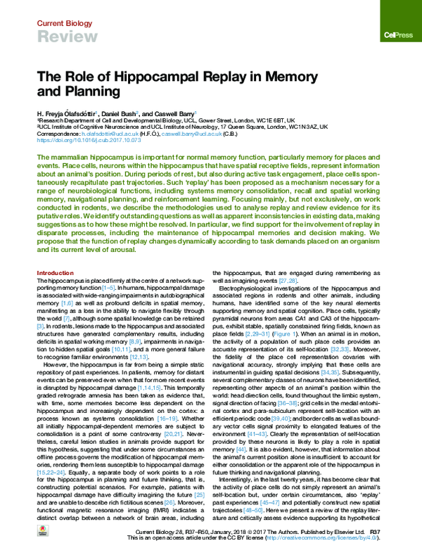(PDF) The Role of Hippocampal Replay in Memory and Planning