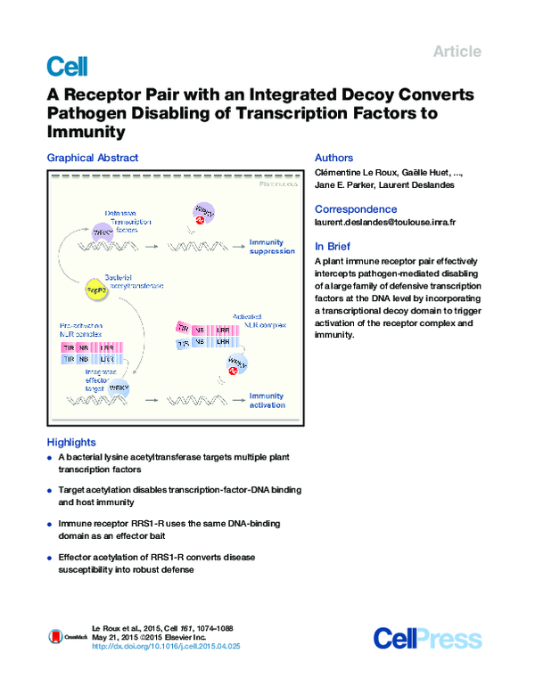 (PDF) A receptor pair with an integrated decoy converts pathogen ...