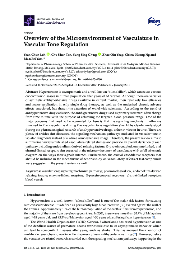 (PDF) Overview of the Microenvironment of Vasculature in Vascular Tone ...