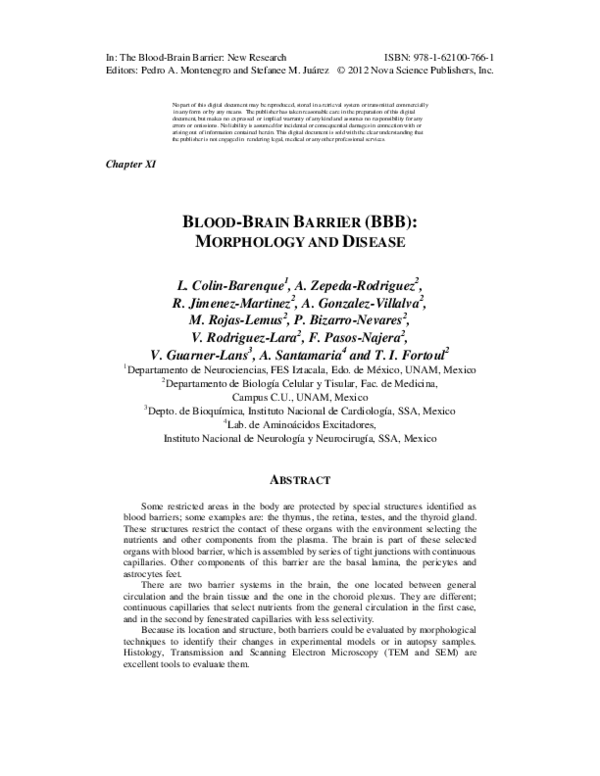 (PDF) Blood-Brain Barrier (BBB) morphology in health and disease