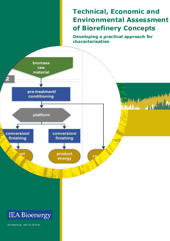 (PDF) Economic and Environmental Assessment of Biorefinery Concepts ...