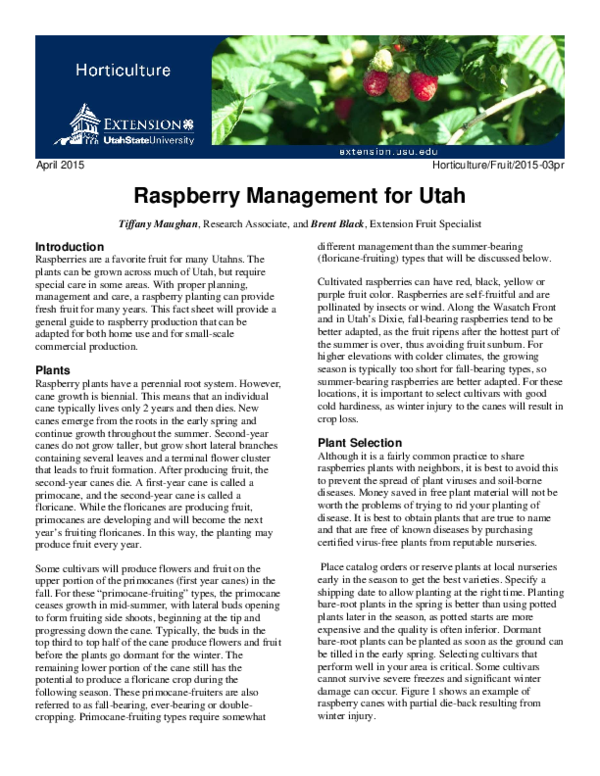 (PDF) Raspberry Management for Utah