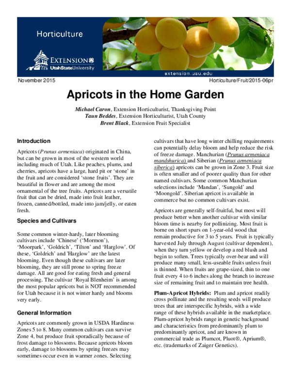 (PDF) Apricots in the Home Garden