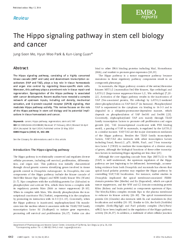 (PDF) The Hippo signaling pathway in stem cell biology and cancer