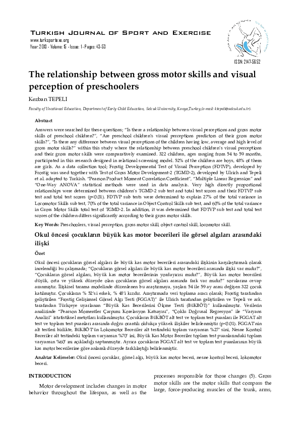 (PDF) The relationship between gross motor skills and visual perception ...