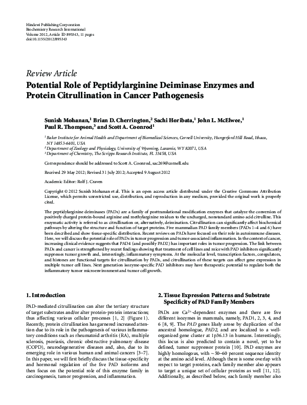 (PDF) Potential Role of Peptidylarginine Deiminase Enzymes and Protein ...