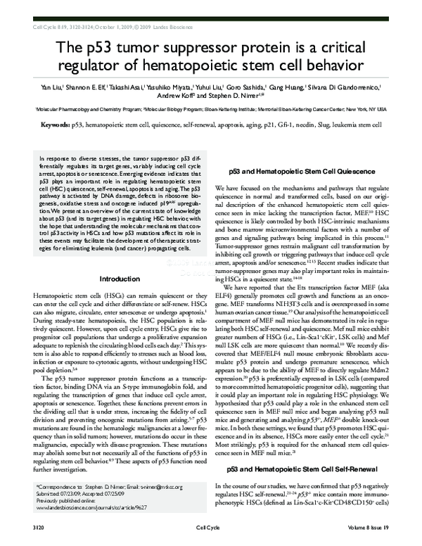 (PDF) The p53 tumor suppressor protein is a critical regulator of ...