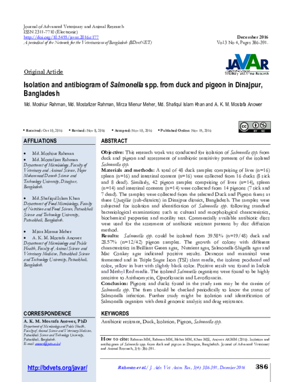 (PDF) Isolation and antibiogram of Salmonella spp. from duck and pigeon ...