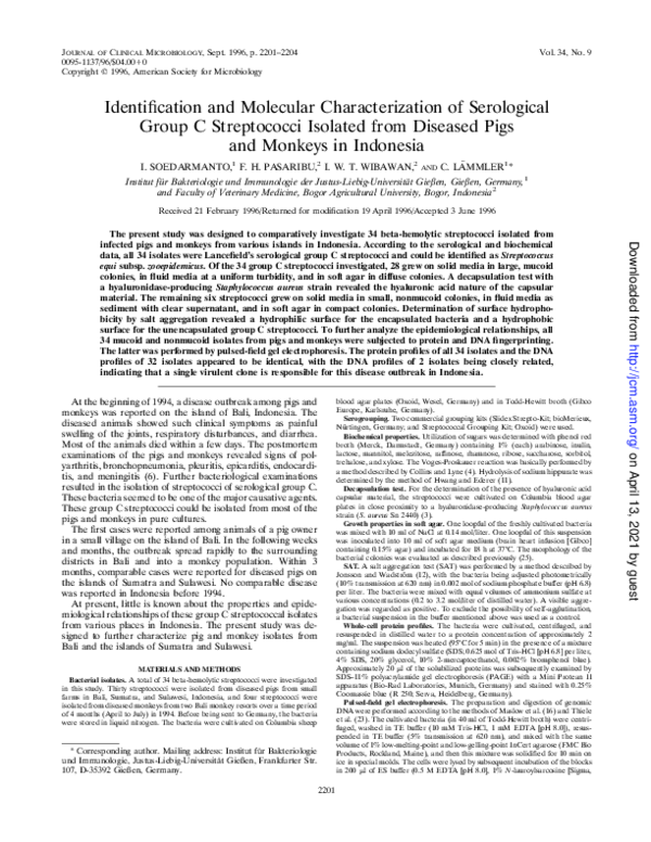 (PDF) Identification and Molecular Characterization of Serological ...