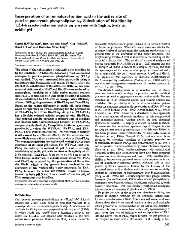 (PDF) Incorporation of an unnatural amino acid in the active site of ...