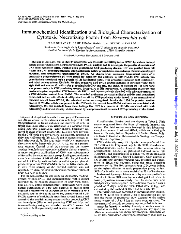 (PDF) Immunochemical identification and biological characterization of ...