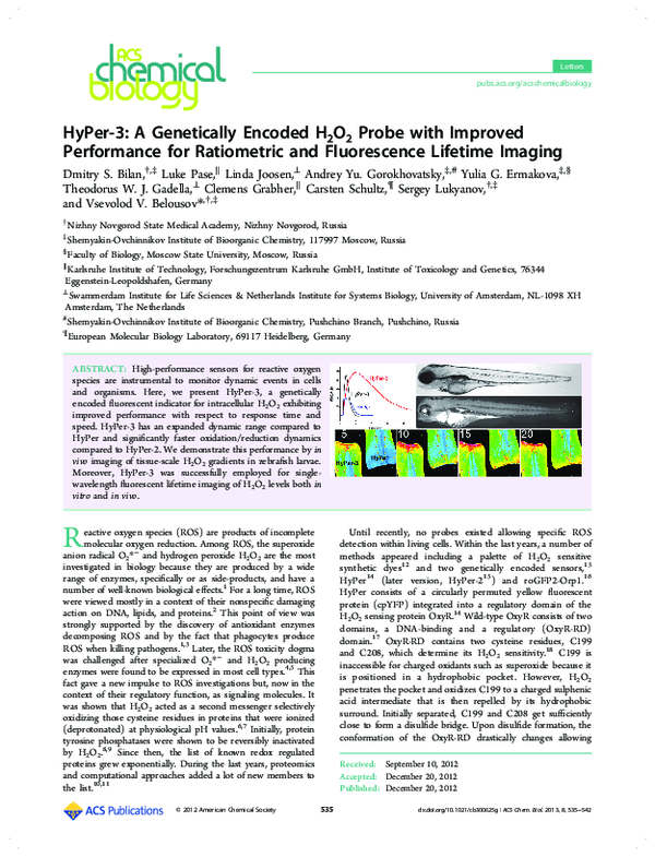 (PDF) HyPer-3: A Genetically Encoded H 2 O 2 Probe with Improved ...
