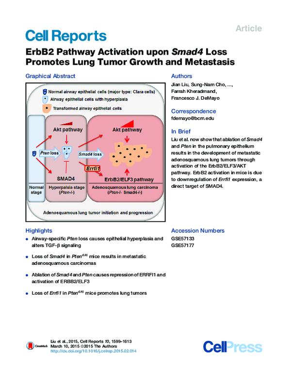 (PDF) ErbB2 Pathway Activation upon Smad4 Loss Promotes Lung Tumor ...