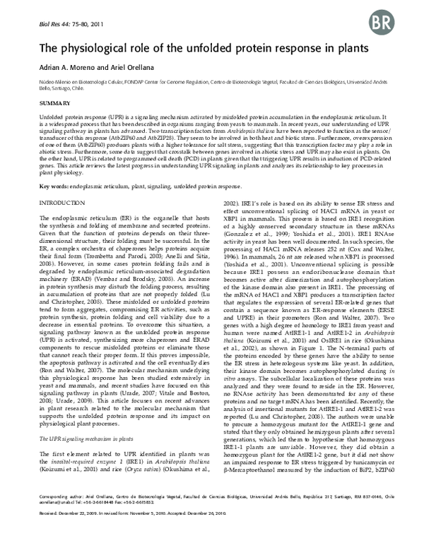 (PDF) The physiological role of the unfolded protein response in plants