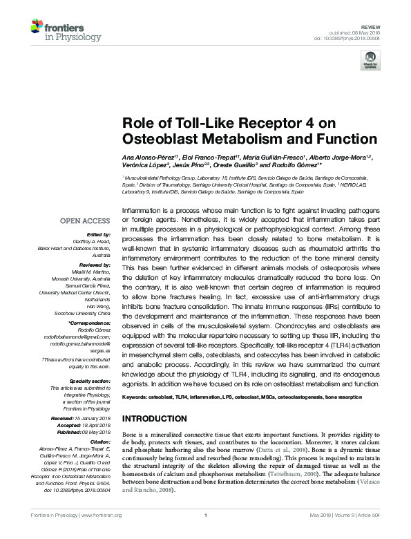 (PDF) Role of Toll-Like Receptor 4 on Osteoblast Metabolism and Function
