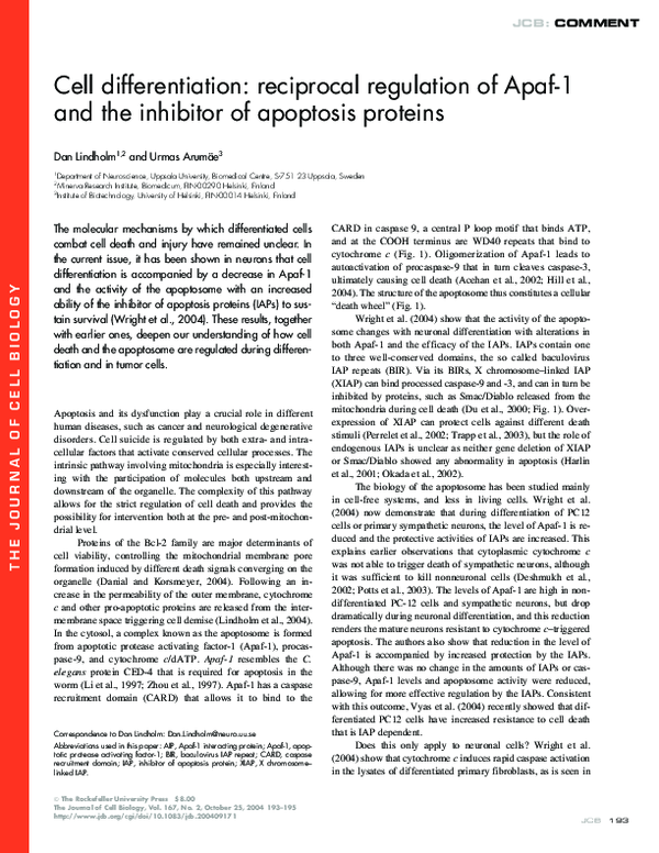 (PDF) Cell differentiation: reciprocal regulation of Apaf-1 and the ...