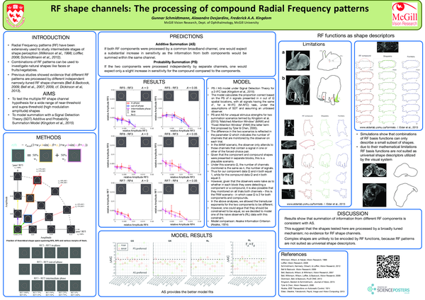 (PDF) RF shape channels: The processing of compound Radial Frequency ...