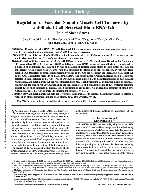 (PDF) Regulation of Vascular Smooth Muscle Cell Turnover by Endothelial ...