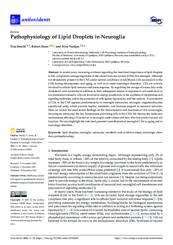 (PDF) Pathophysiology of Lipid Droplets in Neuroglia