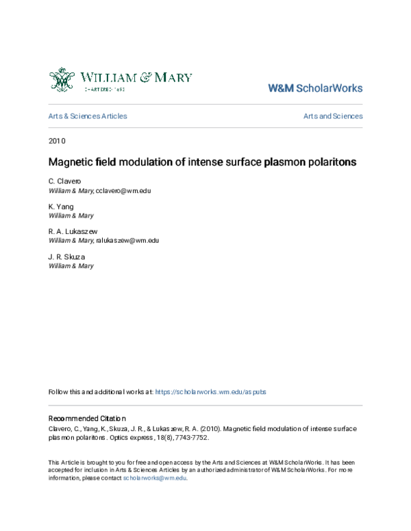 (PDF) Magnetic field modulation of intense surface plasmon polaritons