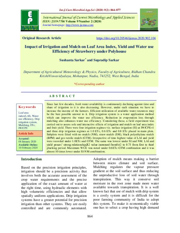 (PDF) Impact of Irrigation and Mulch on Leaf Area Index, Yield and ...