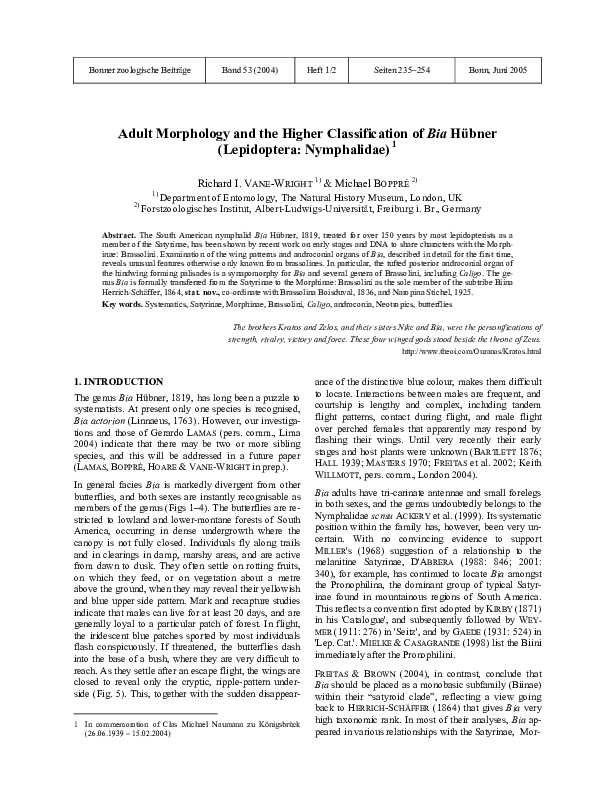 (PDF) Adult Morphology and the Higher Classification of Bia Hübner ...