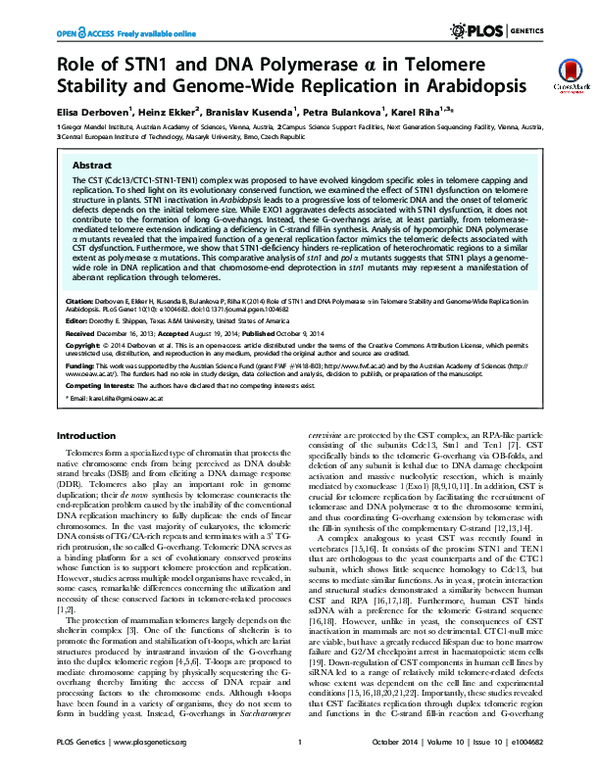 (PDF) Role of STN1 and DNA Polymerase α in Telomere Stability and ...