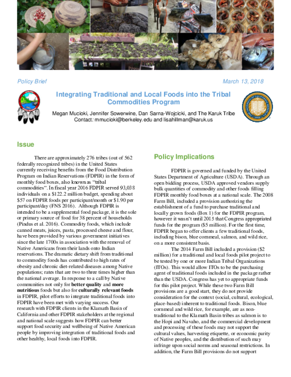 (PDF) Integrating Traditional and Local Foods into the Tribal ...